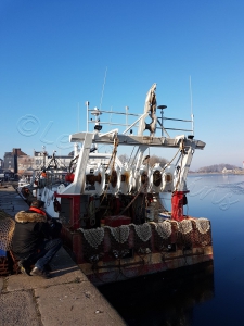 Bateau de pêche